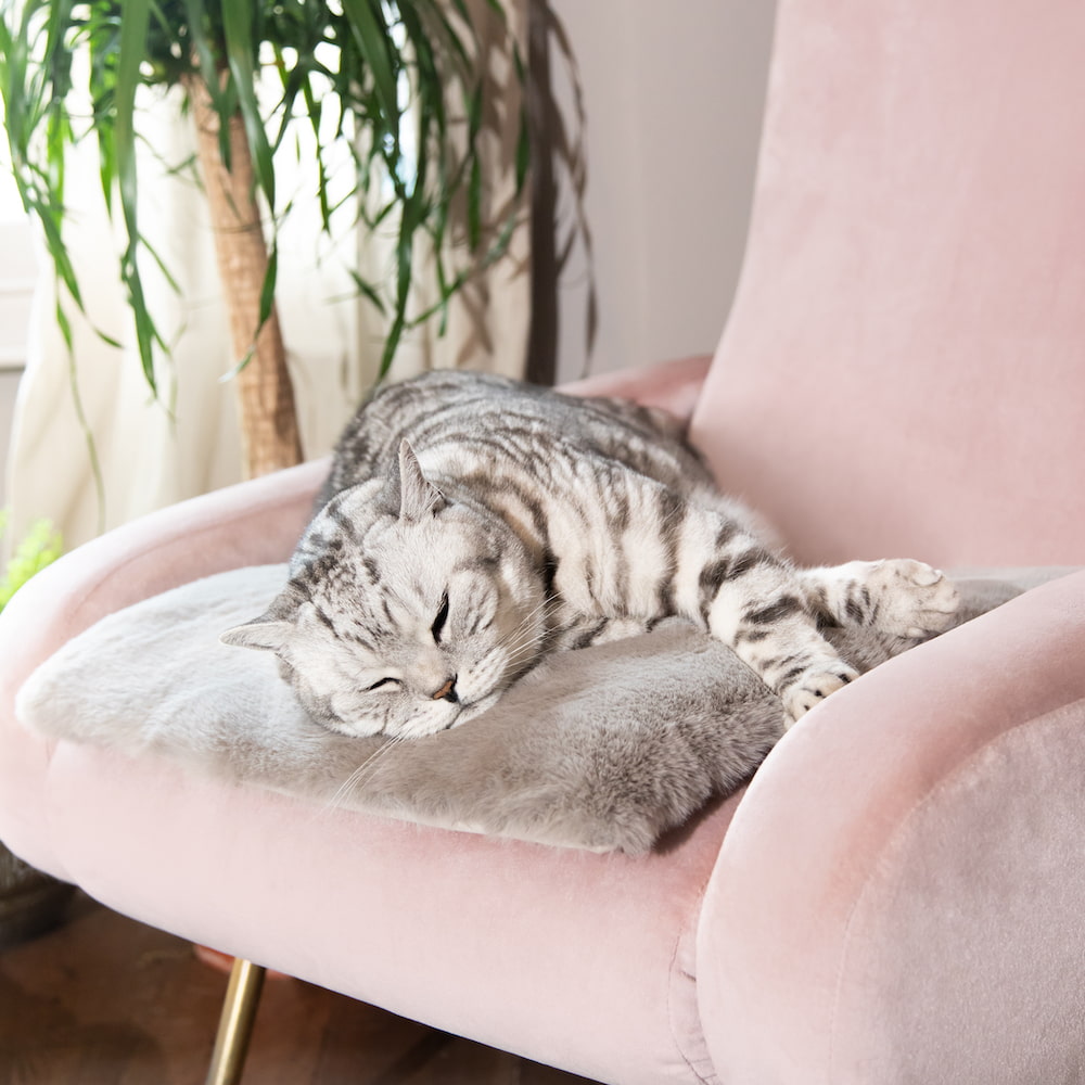 Cat Cloud® Bed - Nimbus Grey