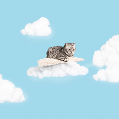 Cat Cloud® Bed - Shearling Cream