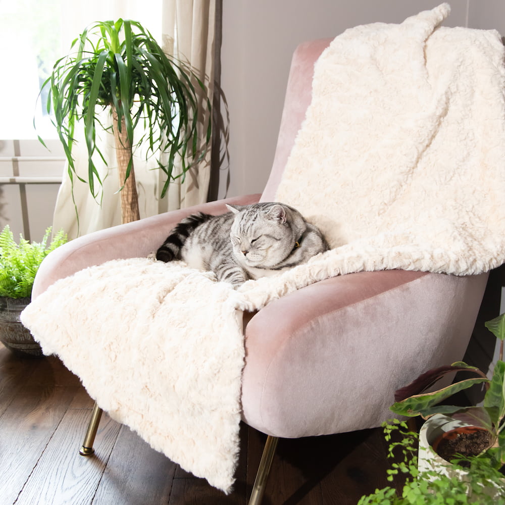 Cat Cloud® Throw - Shearling Cream