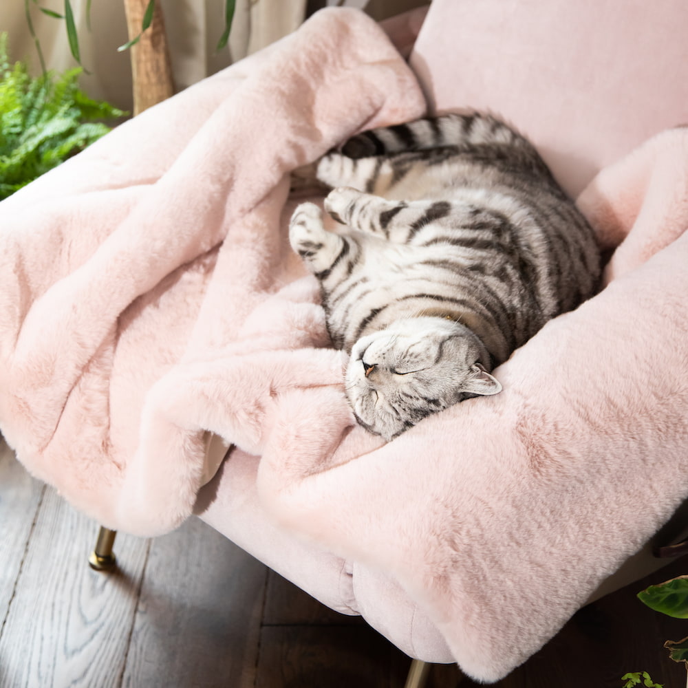 Cat Cloud® Throw - Cirrus Pink