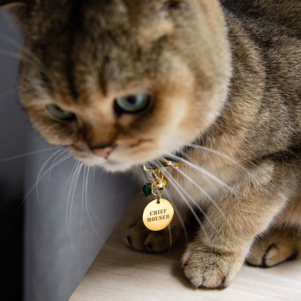 Chief Mouser Disc I.D Tag