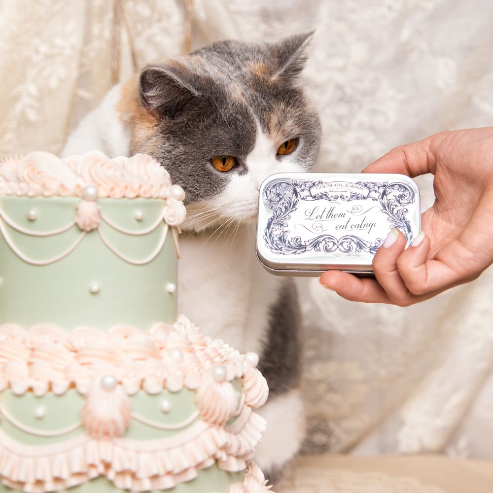 "Let them Eat Catnip!" Gift Tin with Dried British Catnip