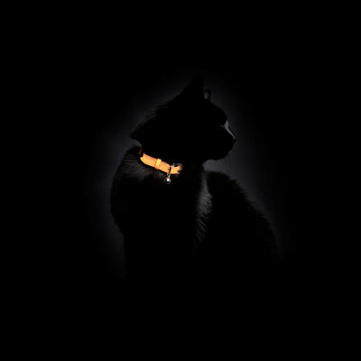 Neon Orange - Reflective Cat Collar