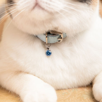 'Aquamarine' Gem Collar Charm