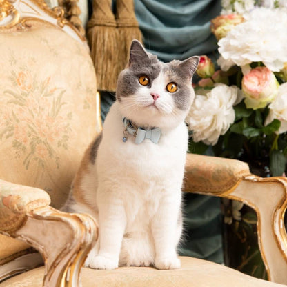 Rococo - Powder Blue Cat Collar