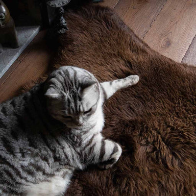 British Brown Sheepskin Rug