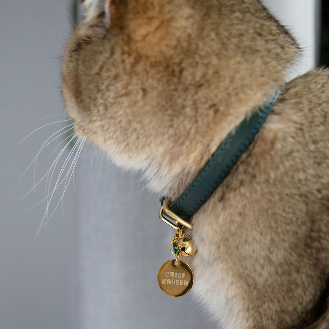 Heritage - Rigby Green Cat Collar