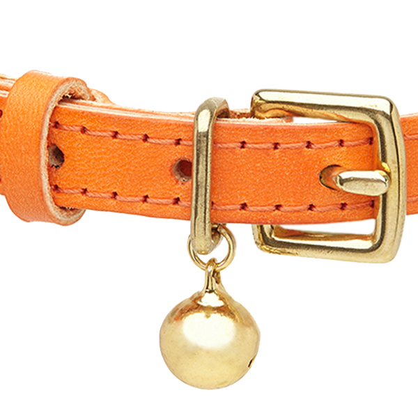 Colour-Pop - Orange Cat Collar