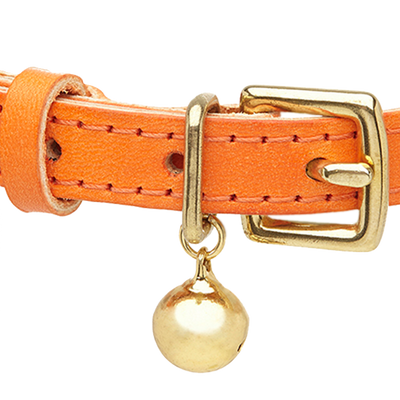 Colour-Pop - Orange Cat Collar